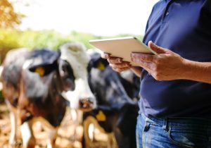 trabalhador do campo