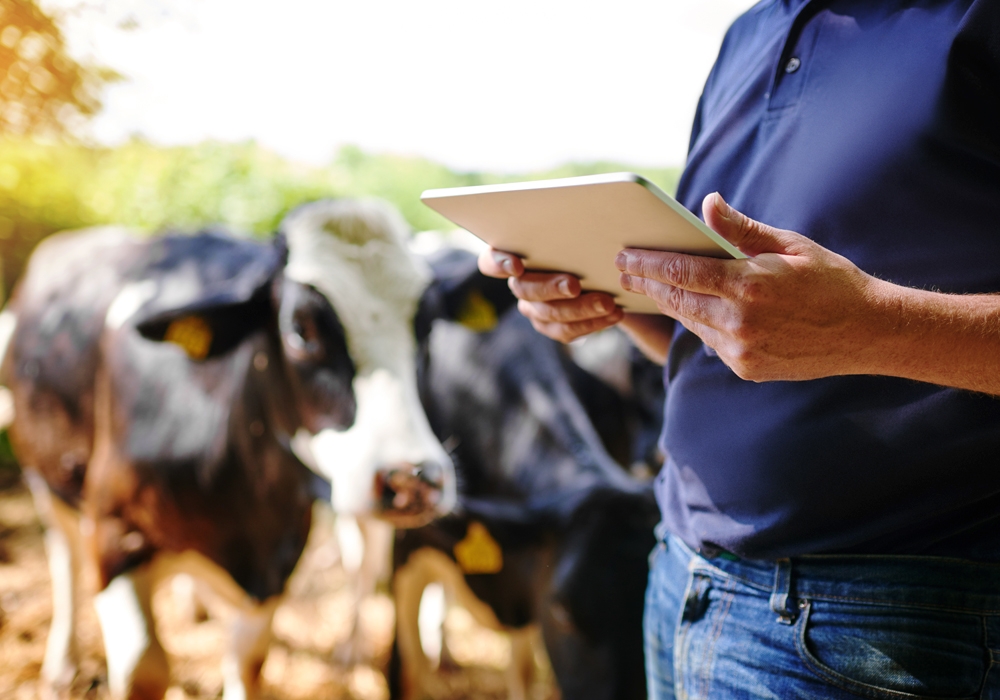 trabalhador do campo